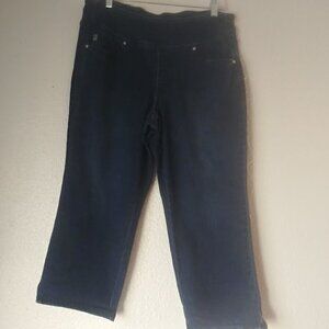 Belle by Kim Gravel women's size 12P medium wash capri